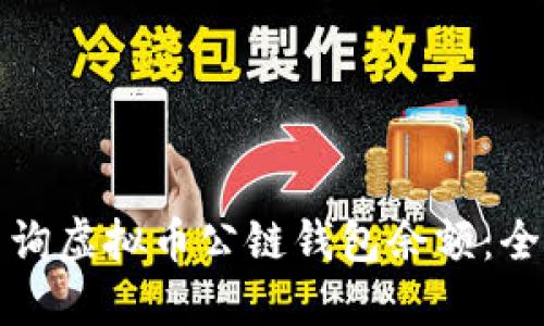 如何查询虚拟币公链钱包余额：全面指南