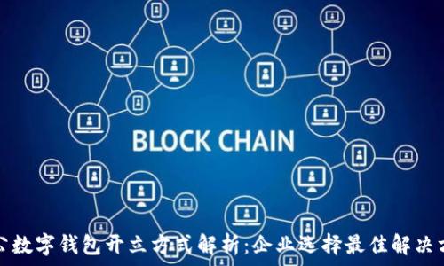 对公数字钱包开立方式解析:企业选择最佳解决方案
