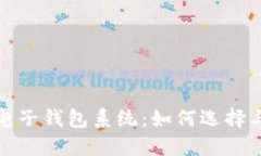 数字货币电子钱包系统：如何选择与使