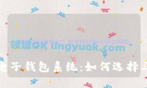数字货币电子钱包系统：如何选择与使用指南