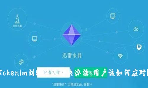 Tokenim到账延迟解决办法：用户该如何应对？