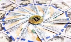 全面解析数字币钱包APP：选择、功能与