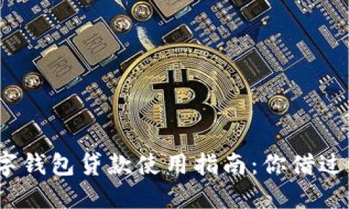 数字钱包贷款使用指南：你借过吗？