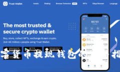 数字货币提现钱包的完整指南