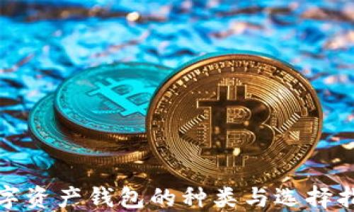 
数字资产钱包的种类与选择指南