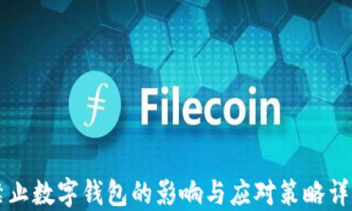 
禁止数字钱包的影响与应对策略详解