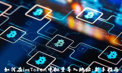 
如何在imToken中批量导入地址：新手指南