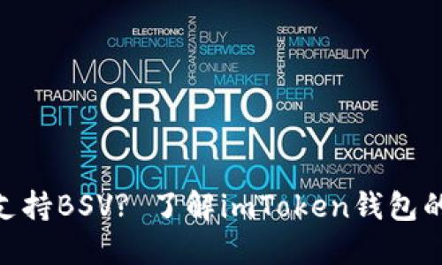 imToken钱包是否支持BSV? 了解imToken钱包的多种加密货币支持