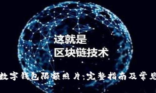 如何上传数字钱包限额照片：完整指南及常见问题解答