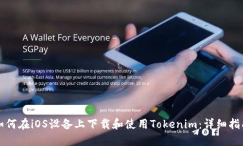 如何在iOS设备上下载和使用Tokenim：详细指南