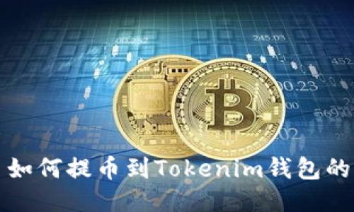 Bitz平台如何提币到Tokenim钱包的详尽指南