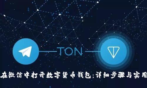 如何在微信中打开数字货币钱包：详细步骤与实用指南