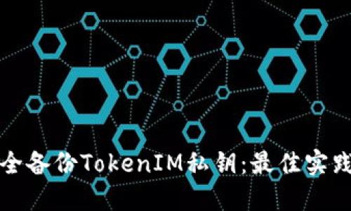 如何安全备份TokenIM私钥：最佳实践与技巧