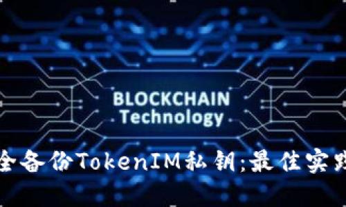 如何安全备份TokenIM私钥：最佳实践与技巧