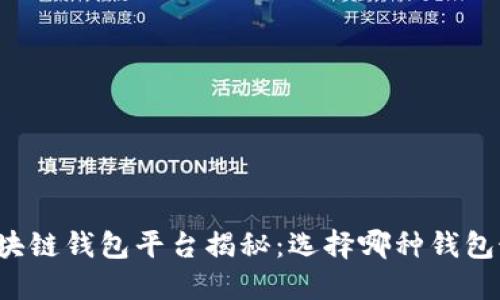 全球最大的区块链钱包平台揭秘：选择哪种钱包最安全、最方便