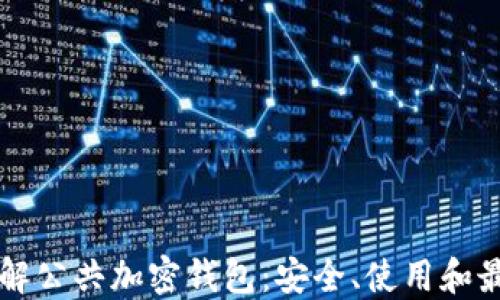 深入了解公共加密钱包:安全、使用和最佳实践