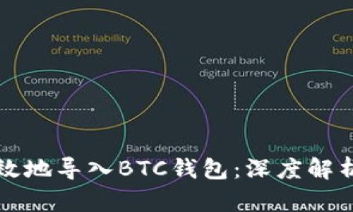 如何安全高效地导入BTC钱包：深度解析及实用指南