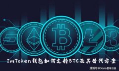  ImToken钱包如何支持BTC及其替代方案