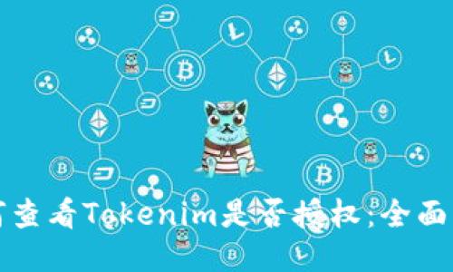 如何查看Tokenim是否授权:全面指南